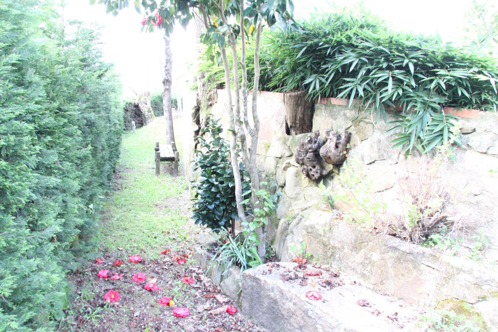 Quinta Dos Amores Ponte de Lima Eksteriør billede