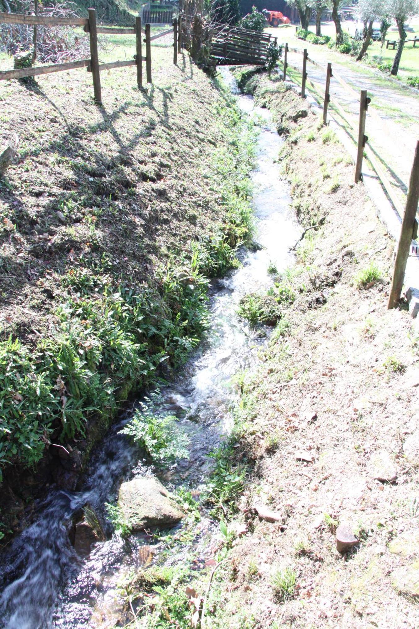 Quinta Dos Amores Ponte de Lima Eksteriør billede