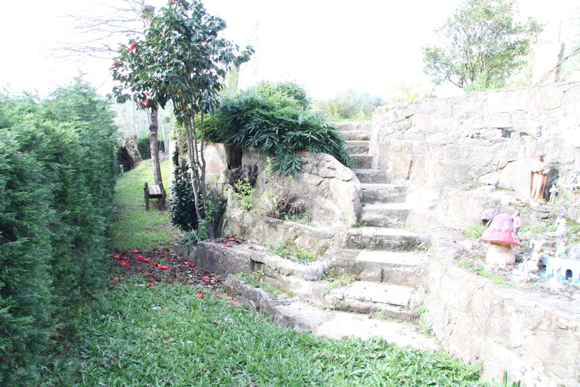 Quinta Dos Amores Ponte de Lima Eksteriør billede